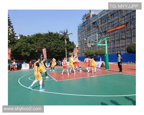 篮球十佳球集锦 精彩瞬间尽显球场风采 展现篮球魅力与激情